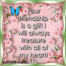 Butterfly Saying Your Friendship Is A Gift GIF