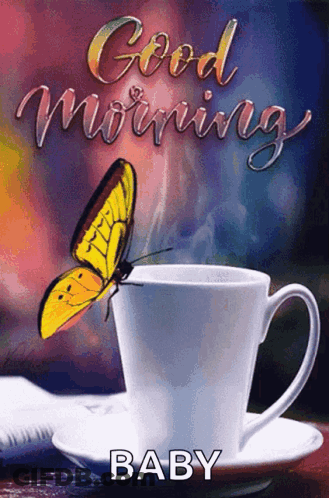 Butterfly Sitting On Coffee Cup Good Morning Baby GIF