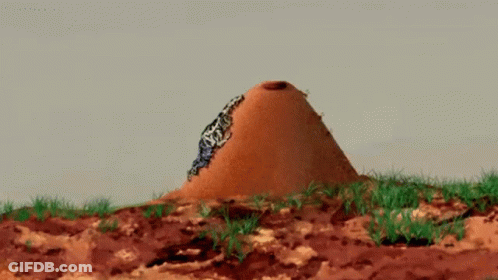 Butterfly Sitting On Dirt Mound GIF