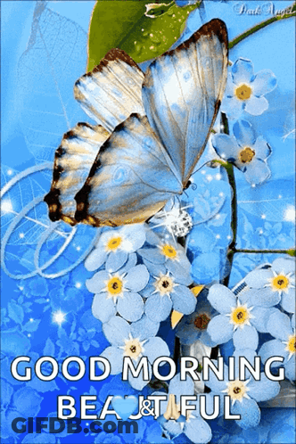 Butterfly Sitting On Flower Good Morning Beautiful GIF