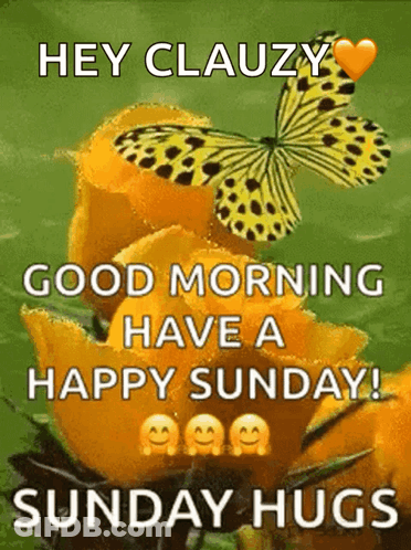 Butterfly Sitting On Flower Good Morning GIF