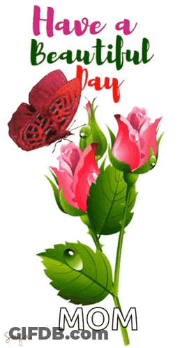 Butterfly Sitting On Flower Have A Beautiful Day Mom GIF