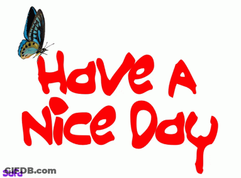 Butterfly Sitting On Have A Nice Day GIF