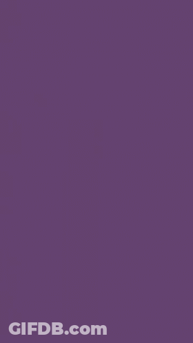 Butterfly Sitting On Have A Nice Day GIF