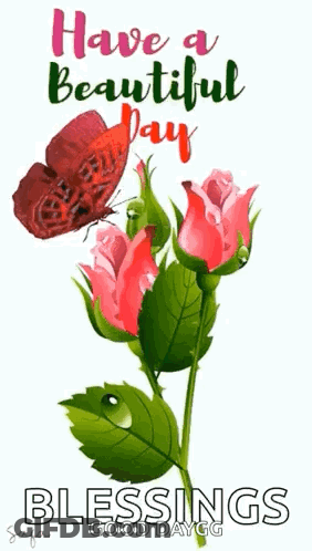 Butterfly Sitting On Pink Rose Have A Beautiful Day Blessings Good Daygg GIF