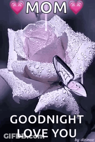 Butterfly Sitting On Purple Rose GIF