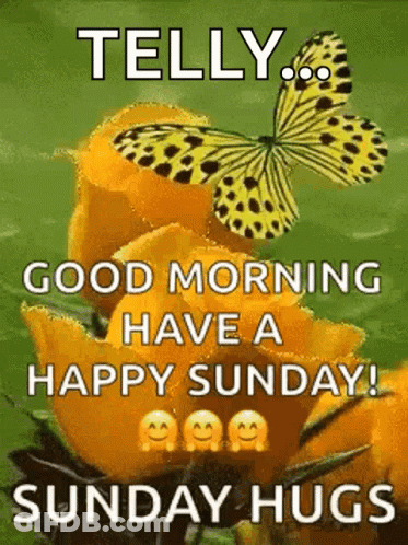 Butterfly Sitting On Yellow Flower GIF