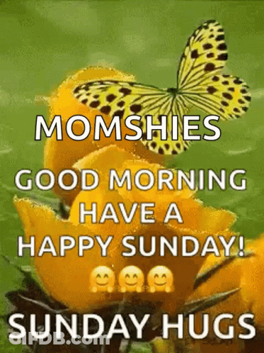 Butterfly Sitting On Yellow Flower Saying Good Morning GIF