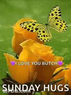 Butterfly Sitting On Yellow Rose I Love You GIF