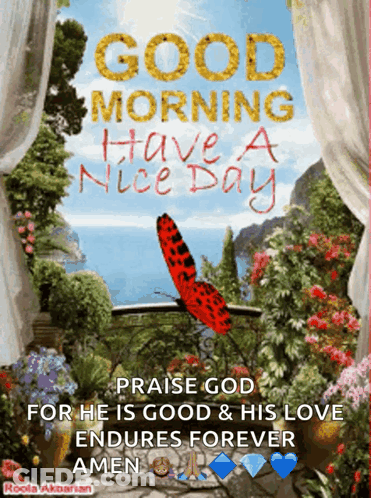 Butterfly With Good Morning Have A Nice Day GIF