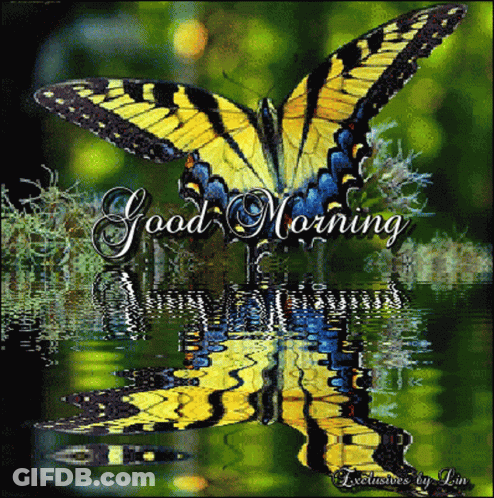 Butterfly With Good Morning Text GIF