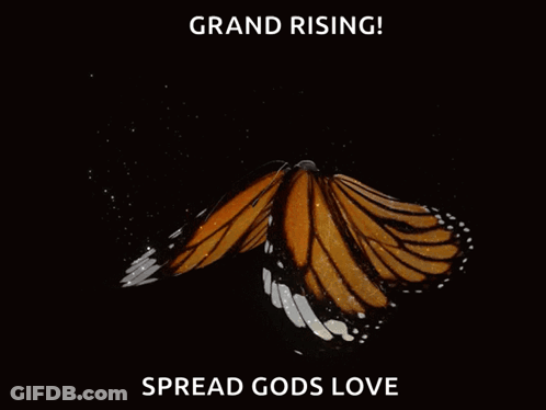 Butterfly With Grand Rising Spread Gods Love GIF