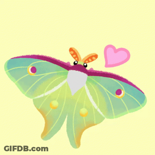 Butterfly With Pink Heart On Yellow Background GIF