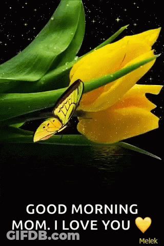 Butterfly Yellow Flower Good Morning Mom I Love You GIF