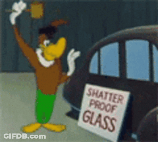 Buzz Buzzard Glass Breaking Shatter Proof Window GIF