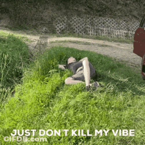 Buzz Kill Chilling Under The Sun GIF