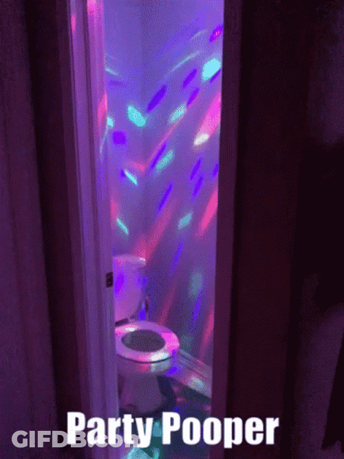 Buzz Kill Toilet Disco Lights Meme GIF