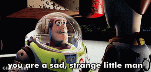 Buzz Lightyear From Toy Story Is Talking To Woody And Says You Are A Sad Strange Little Man GIF