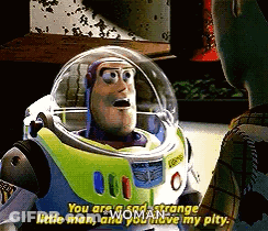 Buzz Lightyear From Toy Story Says You Are A Sad Strange Little Man And You Have My Pity GIF