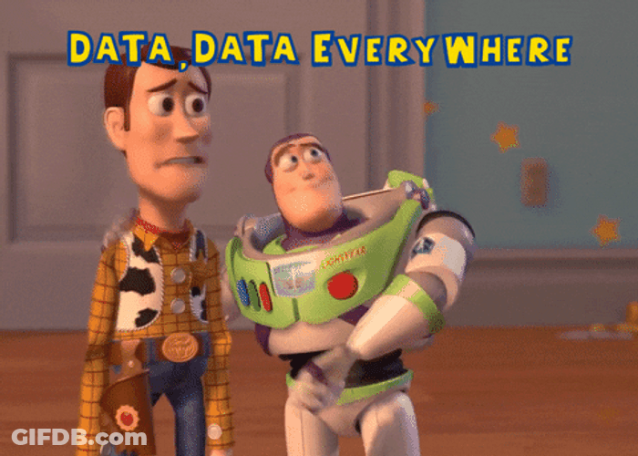 Buzz Woody Data Everywhere GIF
