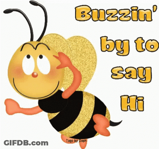 Buzzing By Just To Say Hi GIF