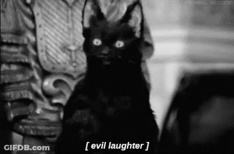 Bwahaha Evil Laugh Black Cat GIF