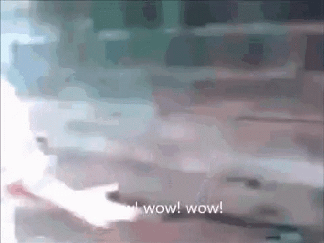 Bwahaha Sarcastic Laugh Funny Meme GIF