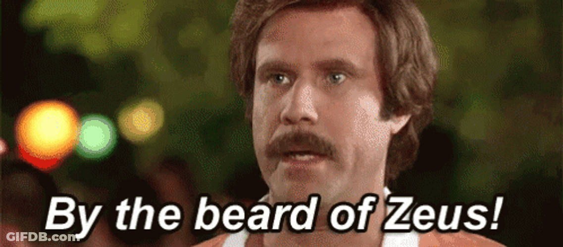 By The Beard Of Zeus GIF