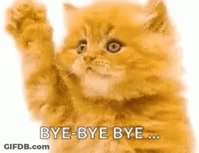Bye Bye Bye Ginger Kitty Waving GIF