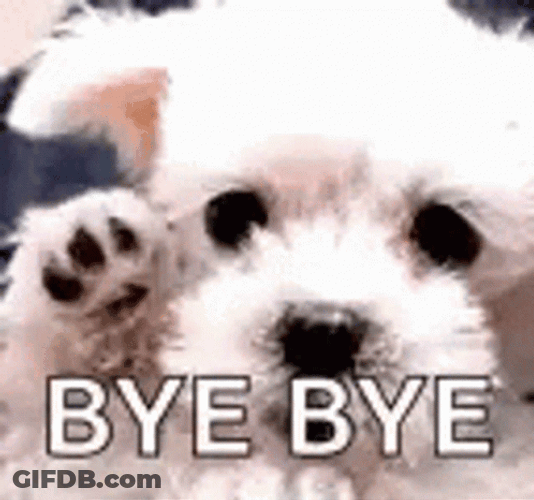 Bye Bye Bye Puppy Sad Eyes GIF