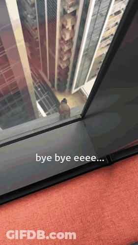 Bye Bye Eeee Is Written On The Bottom Of A Picture GIF