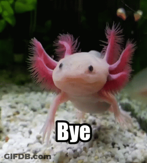 Bye Crazy Axolotl GIF