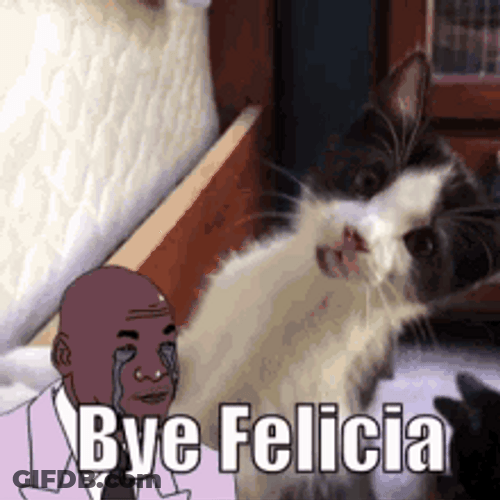 Bye Felicia Cat Walk Out GIF