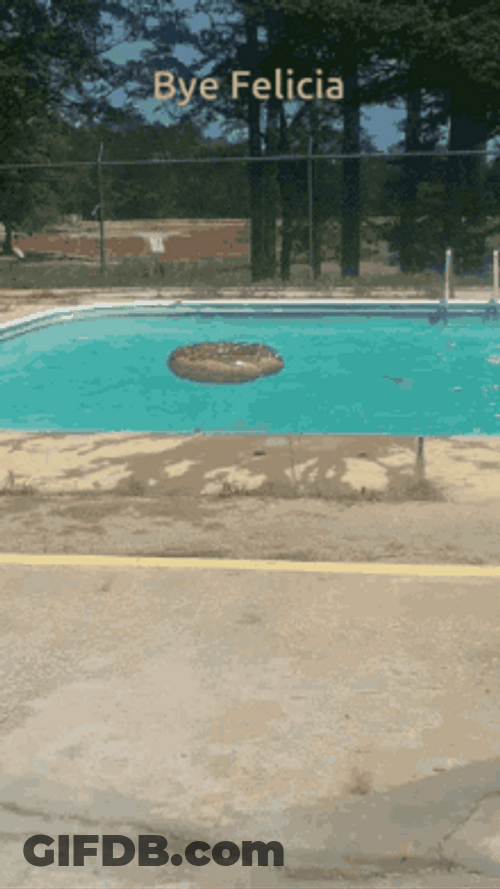 Bye Felicia Reverse Dive GIF