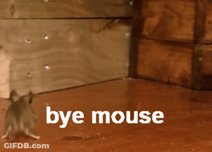 Bye Poor Mouse GIF