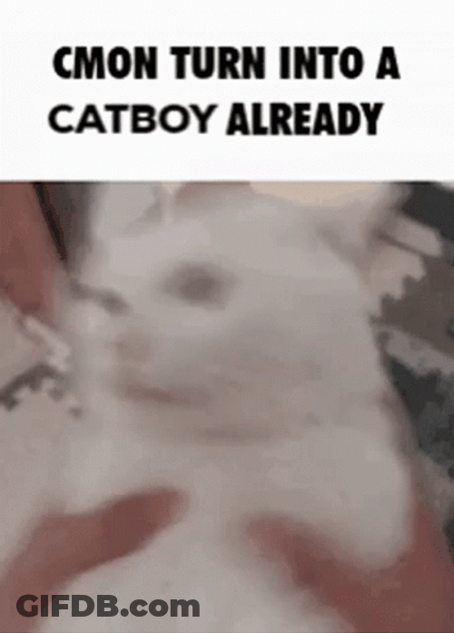 C'mon Do Something Turn Into Catboy GIF