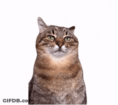 C Mon Group Hug You Too Anger Cartoon Characters GIF