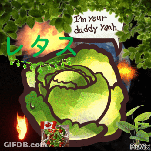 Cabbage Saying Im Your Daddy Yeah GIF