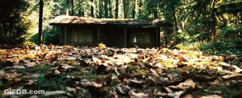 Cabin In The Woods With Leaves GIF