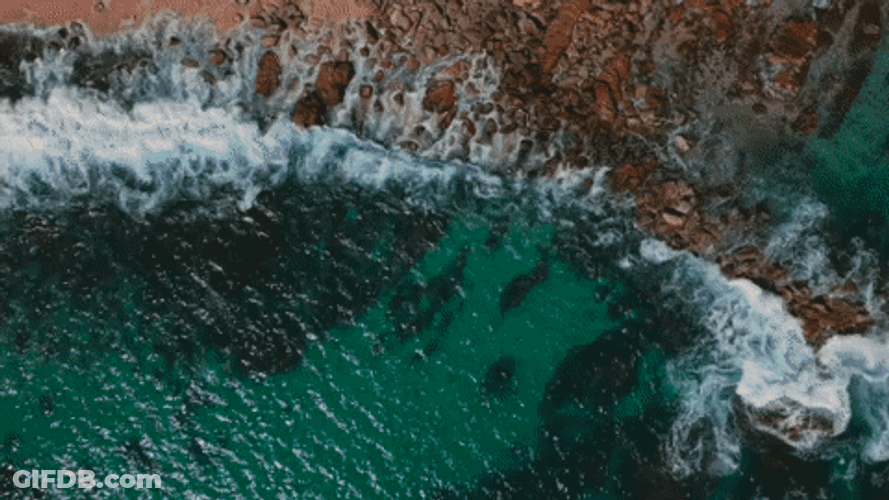 Cabo Verde Summer Beach GIF