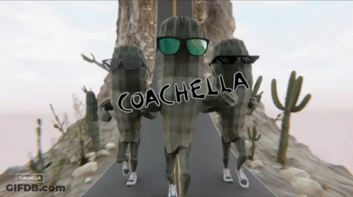 Cacti Wearing Sunglasses With Coachella GIF