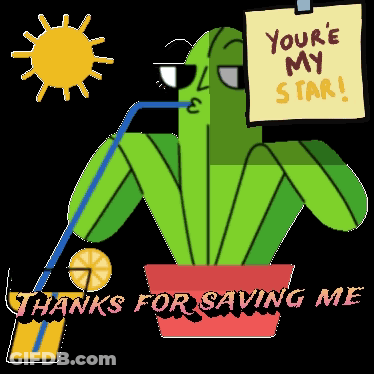 Cactus Drinking Through Straw With Sign You're My Star GIF
