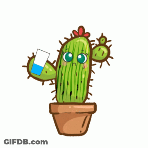 Cactus Drinking Water Get Fat GIF