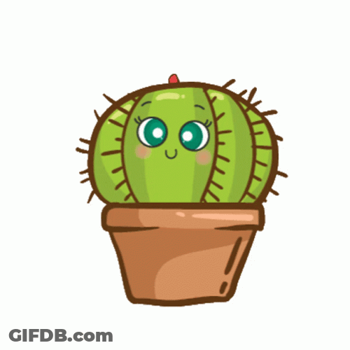 Cactus Eyes Bright Flower Bloom GIF
