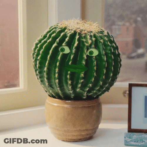 Cactus Human Eyes Mouth Shaking Head GIF