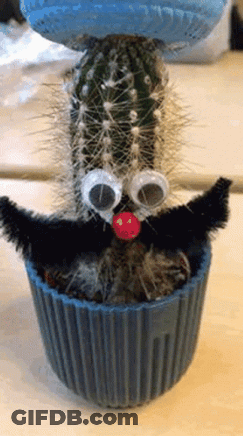 Cactus Mustache Crocheted Hat GIF