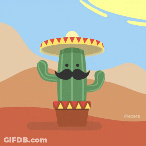 Cactus Mustache Mexican Hat GIF