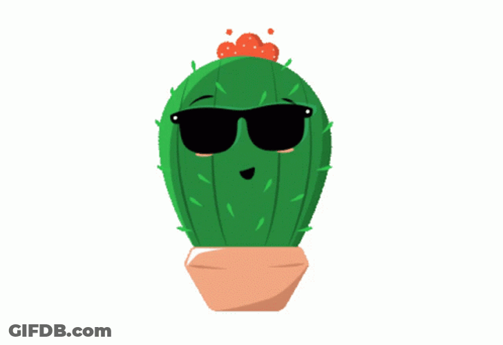 Cactus Sunglasses Down Eyes Shown GIF