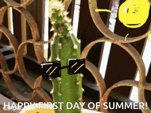 Cactus Wearing Sunglasses Happy First Day Of Summer GIF