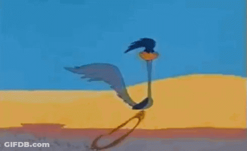 Cactus With Bird On Its Back GIF